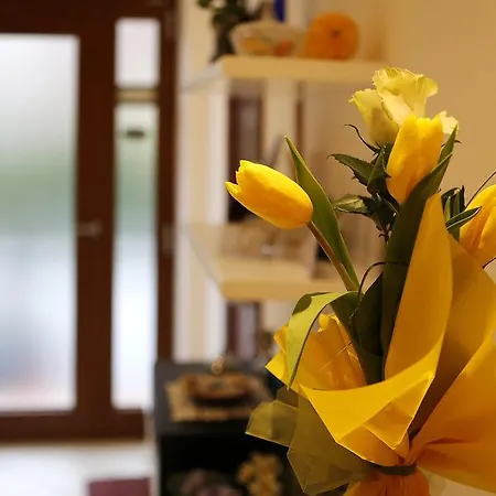 伊尔萨索安蒂科住宿加早餐酒店 3* 维罗纳